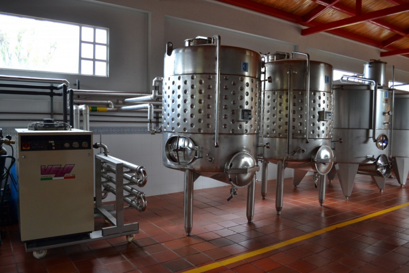 cave-GATTIERES-min_wine_production_cantine_winery_drink_alcohol_vine_beverage-902036